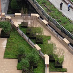 high-line
