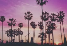 Visitare Venice Beach a Los Angeles venice beach